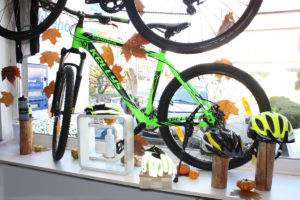 Ein grünes Mountainbike der Marke Kellys steht im Schaufenster mit Herbstblättern dekoriert.
